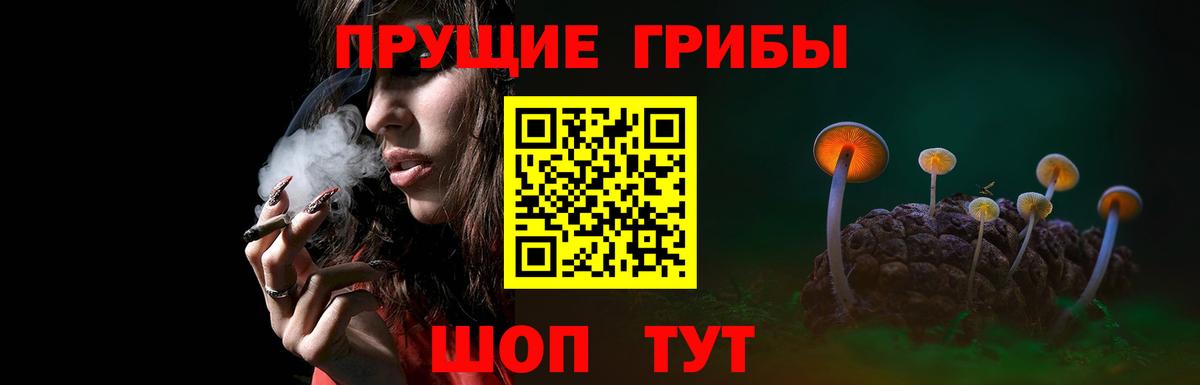 Псилоцибиновые грибы Psilocybe Озёрск